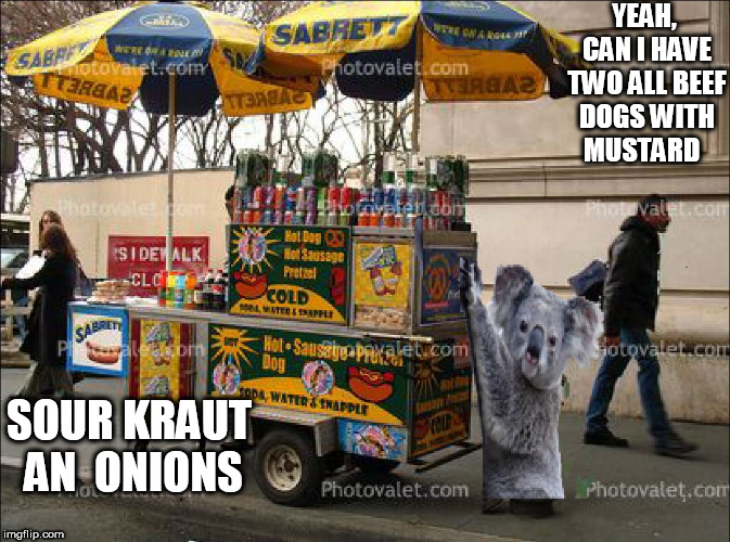 YEAH, CAN I HAVE TWO ALL BEEF DOGS WITH  MUSTARD SOUR KRAUT AN  ONIONS | made w/ Imgflip meme maker