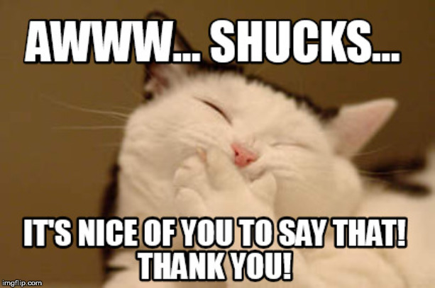 shucks cat | image tagged in shucks cat | made w/ Imgflip meme maker