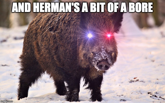 AND HERMAN'S A BIT OF A BORE | made w/ Imgflip meme maker