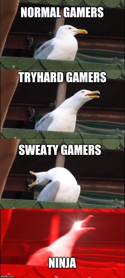 Inhaling Seagull Meme | NORMAL GAMERS; TRYHARD GAMERS; SWEATY GAMERS; NINJA | image tagged in memes,inhaling seagull | made w/ Imgflip meme maker