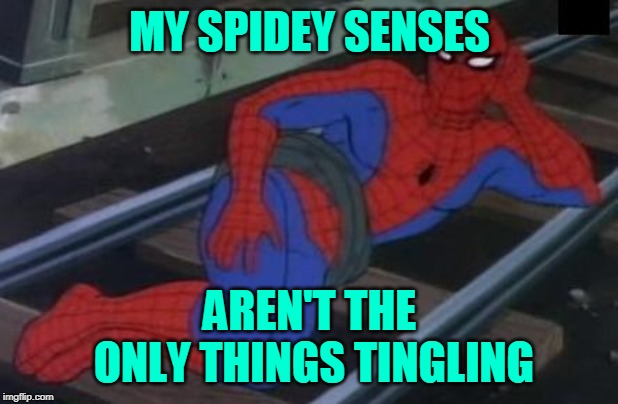 Spiderman railroad | MY SPIDEY SENSES AREN'T THE ONLY THINGS TINGLING | image tagged in spiderman railroad | made w/ Imgflip meme maker