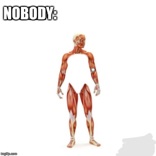 bodys gone | NOBODY: | image tagged in body | made w/ Imgflip meme maker
