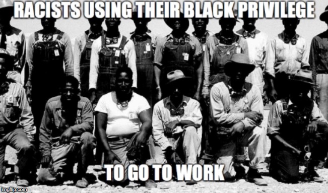 BLACK PRIVILEGE MEME | image tagged in black privilege meme | made w/ Imgflip meme maker