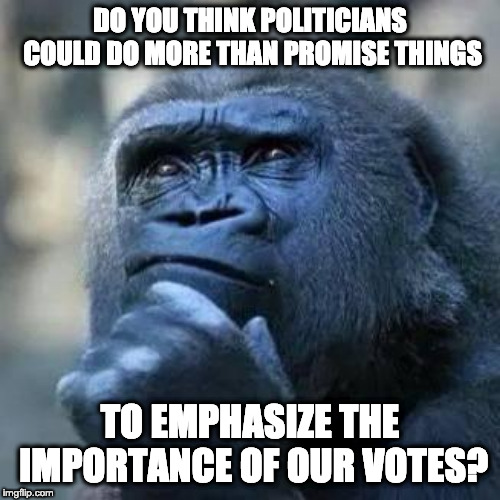 Thinking ape | DO YOU THINK POLITICIANS COULD DO MORE THAN PROMISE THINGS; TO EMPHASIZE THE IMPORTANCE OF OUR VOTES? | image tagged in thinking ape | made w/ Imgflip meme maker