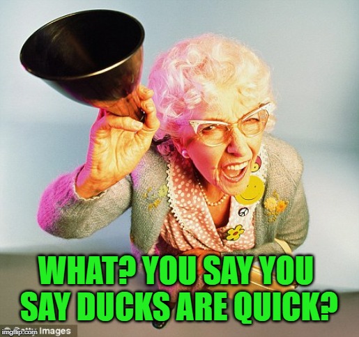 deaf | WHAT? YOU SAY YOU SAY DUCKS ARE QUICK? | image tagged in deaf | made w/ Imgflip meme maker