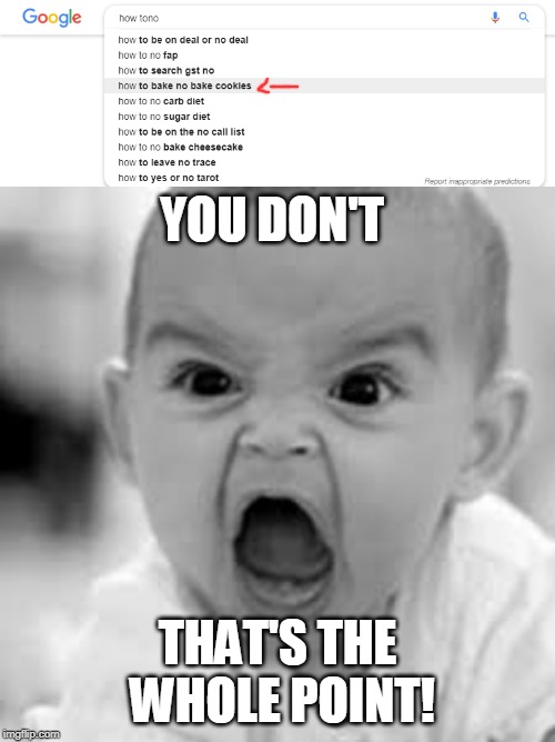 YOU DON'T; THAT'S THE WHOLE POINT! | image tagged in no bake cookies,you missed the whole point,seriously,google search,angry baby | made w/ Imgflip meme maker