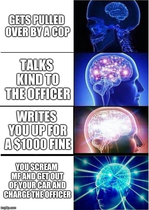 Expanding Brain Meme | GETS PULLED OVER BY A COP; TALKS KIND TO THE OFFICER; WRITES YOU UP FOR A $1000 FINE; YOU SCREAM MF AND GET OUT OF YOUR CAR AND CHARGE THE OFFICER | image tagged in memes,expanding brain | made w/ Imgflip meme maker