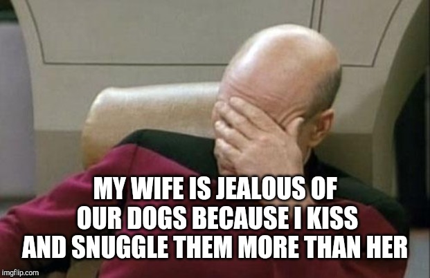 Captain Picard Facepalm Meme | MY WIFE IS JEALOUS OF OUR DOGS BECAUSE I KISS AND SNUGGLE THEM MORE THAN HER | image tagged in memes,captain picard facepalm | made w/ Imgflip meme maker