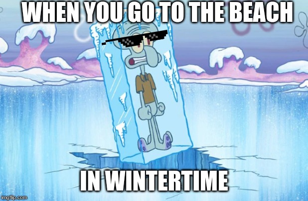 Frozen Squidward | WHEN YOU GO TO THE BEACH; IN WINTERTIME | image tagged in winter,squidward,beach | made w/ Imgflip meme maker