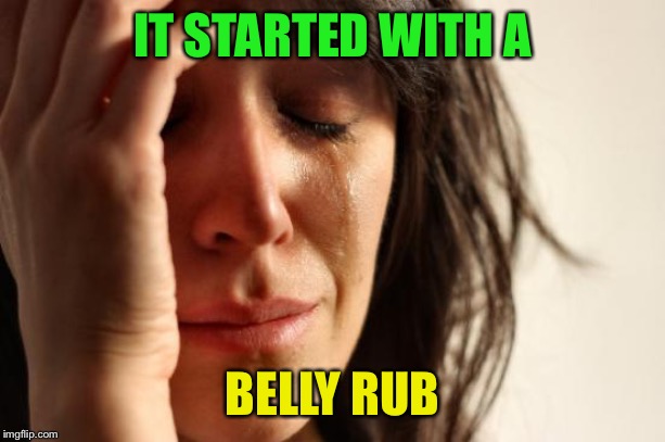 First World Problems Meme | IT STARTED WITH A BELLY RUB | image tagged in memes,first world problems | made w/ Imgflip meme maker