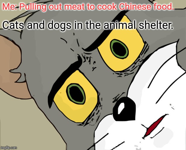 Unsettled Tom | Me: Pulling out meat to cook Chinese food. Cats and dogs in the animal shelter. | image tagged in memes,unsettled tom | made w/ Imgflip meme maker