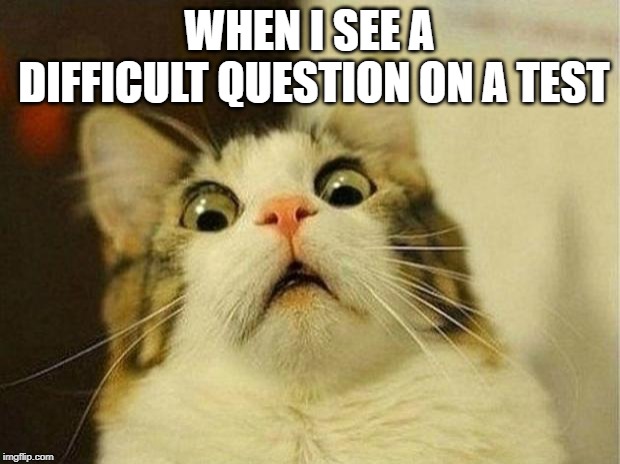 Difficult Question On A Test | WHEN I SEE A DIFFICULT QUESTION ON A TEST | image tagged in memes,scared cat | made w/ Imgflip meme maker