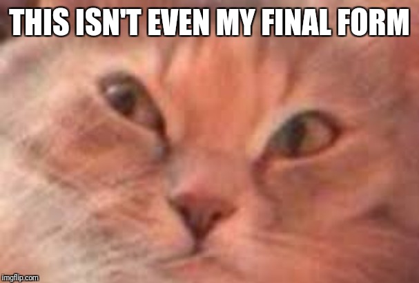 Triggered Cat | THIS ISN'T EVEN MY FINAL FORM | image tagged in triggered cat | made w/ Imgflip meme maker