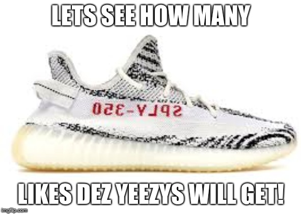 WHAT ARE DOOS?! | LETS SEE HOW MANY; LIKES DEZ YEEZYS WILL GET! | image tagged in yeezy,mommy,lol so funny | made w/ Imgflip meme maker