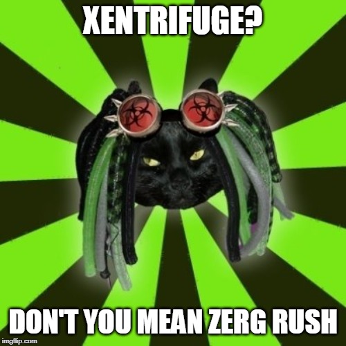 cyber goth cat | XENTRIFUGE? DON'T YOU MEAN ZERG RUSH | image tagged in cyber goth cat | made w/ Imgflip meme maker