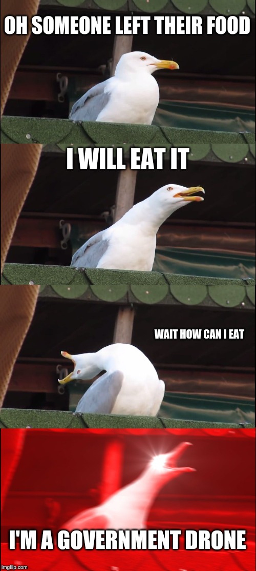 Inhaling Seagull Meme | OH SOMEONE LEFT THEIR FOOD; I WILL EAT IT; WAIT HOW CAN I EAT; I'M A GOVERNMENT DRONE | image tagged in memes,inhaling seagull | made w/ Imgflip meme maker