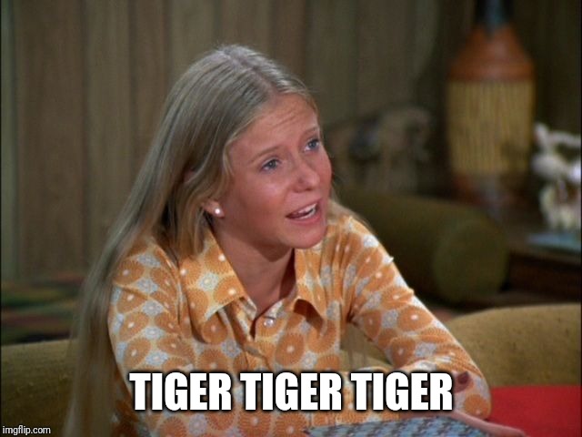 TIGER TIGER TIGER | made w/ Imgflip meme maker