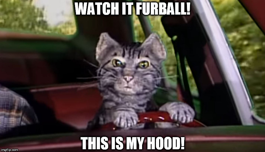 Beware  of the CAT FATHER! | WATCH IT FURBALL! THIS IS MY HOOD! | image tagged in its  topcat,for this kitty,i own this location its my station | made w/ Imgflip meme maker