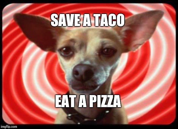 Taco Tuesday | SAVE A TACO; EAT A PIZZA | image tagged in taco bell dog,silly,tacos,taco tuesday,memes,pizza | made w/ Imgflip meme maker