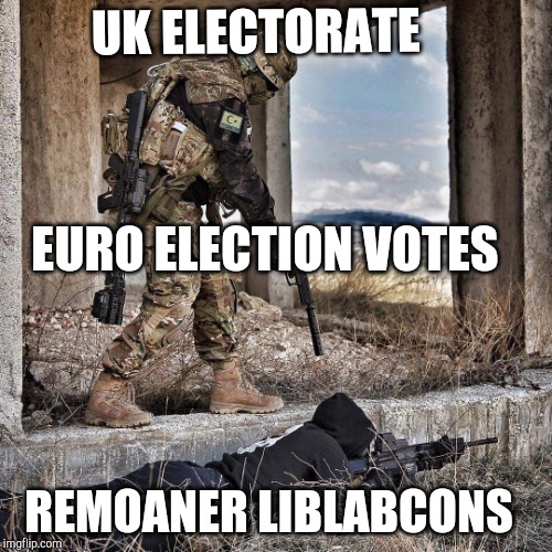 UK ELECTORATE; EURO ELECTION VOTES; REMOANER LIBLABCONS | image tagged in memes | made w/ Imgflip meme maker