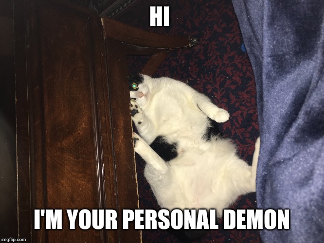HI; I'M YOUR PERSONAL DEMON | image tagged in fat cat | made w/ Imgflip meme maker