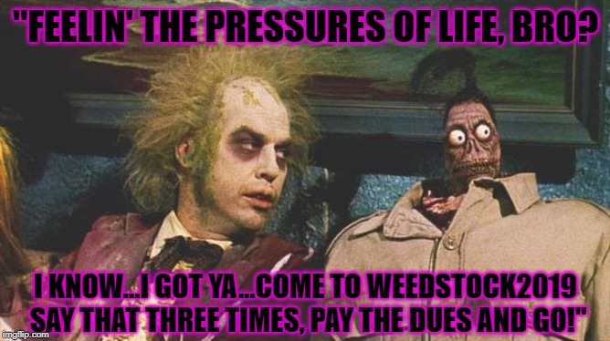 Pressures Got You Down, Man? COME TO WEEDSTOCK2019 | "FEELIN' THE PRESSURES OF LIFE, BRO? I KNOW...I GOT YA...COME TO WEEDSTOCK2019 SAY THAT THREE TIMES, PAY THE DUES AND GO!" | image tagged in pressures got you down man come to weedstock2019 | made w/ Imgflip meme maker