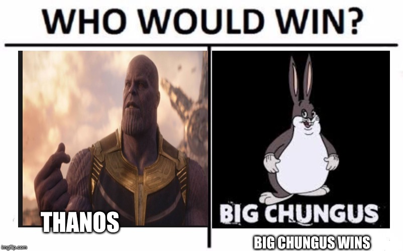 Who Would Win? Meme | THANOS; BIG CHUNGUS WINS | image tagged in memes,who would win | made w/ Imgflip meme maker