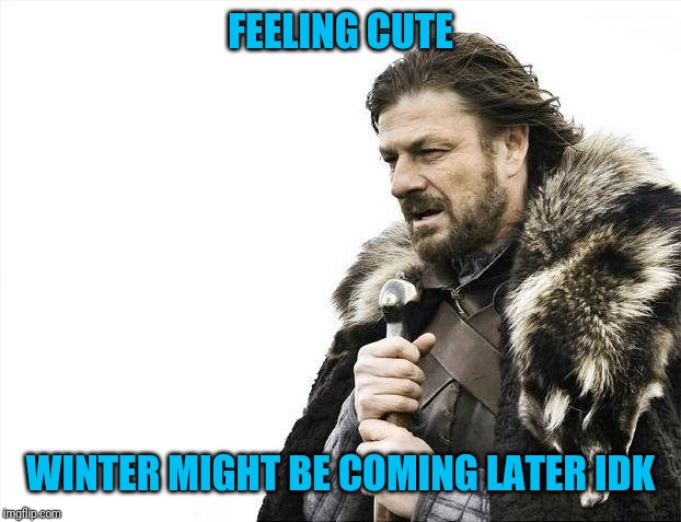 Brace yourselves winter is coming | FEELING CUTE; WINTER MIGHT BE COMING LATER IDK | image tagged in memes,brace yourselves x is coming | made w/ Imgflip meme maker