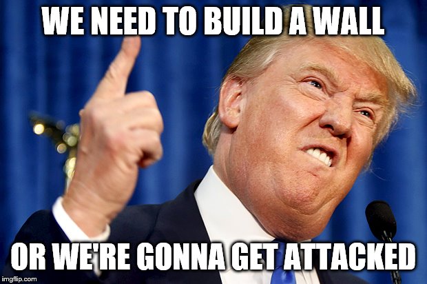 Donald Trump | WE NEED TO BUILD A WALL; OR WE'RE GONNA GET ATTACKED | image tagged in donald trump | made w/ Imgflip meme maker