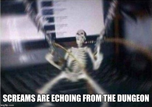 skeleton guns | SCREAMS ARE ECHOING FROM THE DUNGEON | image tagged in skeleton guns | made w/ Imgflip meme maker