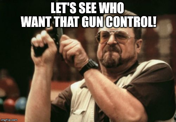 Am I The Only One Around Here | LET'S SEE WHO WANT THAT GUN CONTROL! | image tagged in memes,am i the only one around here | made w/ Imgflip meme maker