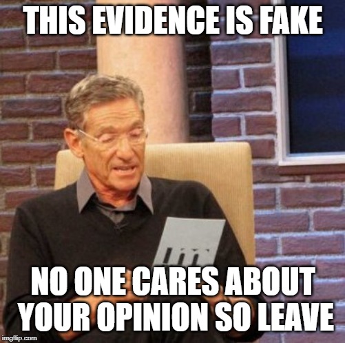 Maury Lie Detector | THIS EVIDENCE IS FAKE; NO ONE CARES ABOUT YOUR OPINION SO LEAVE | image tagged in memes,maury lie detector | made w/ Imgflip meme maker
