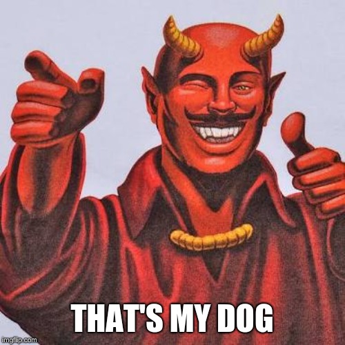 Buddy satan  | THAT'S MY DOG | image tagged in buddy satan | made w/ Imgflip meme maker