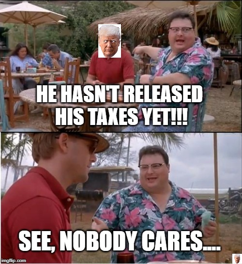 See Nobody Cares | HE HASN'T RELEASED HIS TAXES YET!!! SEE, NOBODY CARES.... | image tagged in memes,see nobody cares | made w/ Imgflip meme maker