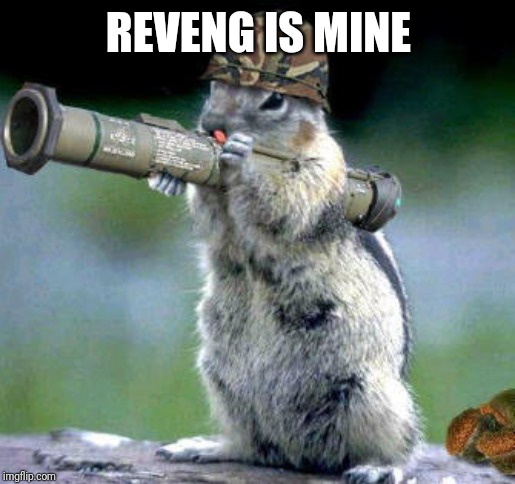 Bazooka Squirrel |  REVENG IS MINE | image tagged in memes,bazooka squirrel | made w/ Imgflip meme maker