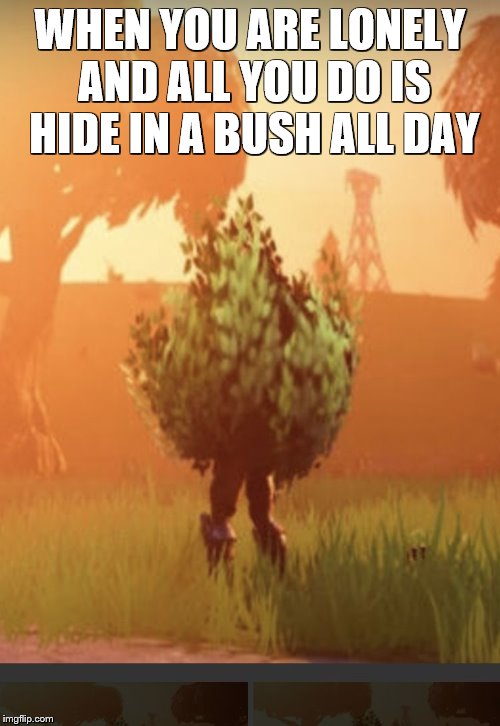 Fortnite bush | WHEN YOU ARE LONELY AND ALL YOU DO IS HIDE IN A BUSH ALL DAY | image tagged in fortnite bush,lonely,bush,unlucky | made w/ Imgflip meme maker