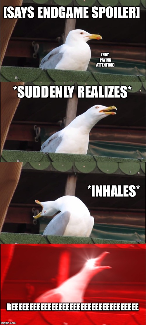 Inhaling Seagull | [SAYS ENDGAME SPOILER]; (NOT PAYING ATTENTION); *SUDDENLY REALIZES*; *INHALES*; REEEEEEEEEEEEEEEEEEEEEEEEEEEEEEEEEEE | image tagged in memes,inhaling seagull | made w/ Imgflip meme maker