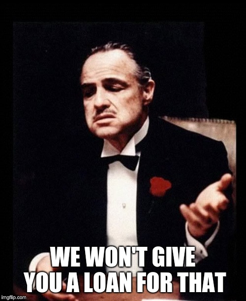 mafia don corleone | WE WON'T GIVE YOU A LOAN FOR THAT | image tagged in mafia don corleone | made w/ Imgflip meme maker