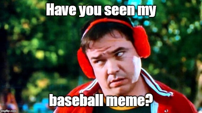 Have you seen my baseball? | Have you seen my baseball meme? | image tagged in have you seen my baseball | made w/ Imgflip meme maker