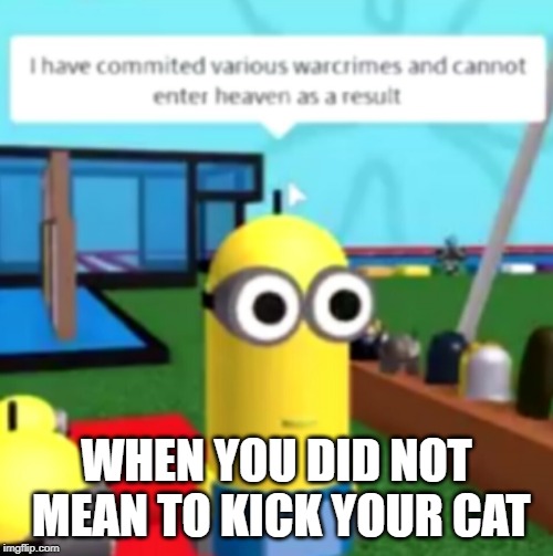 I have committed warcrimes | WHEN YOU DID NOT MEAN TO KICK YOUR CAT | image tagged in i have committed warcrimes | made w/ Imgflip meme maker