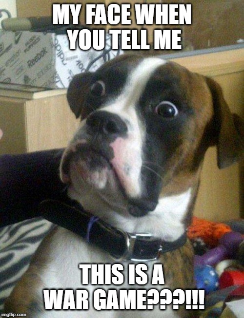 Blankie the Shocked Dog | MY FACE WHEN YOU TELL ME; THIS IS A WAR GAME???!!! | image tagged in blankie the shocked dog | made w/ Imgflip meme maker