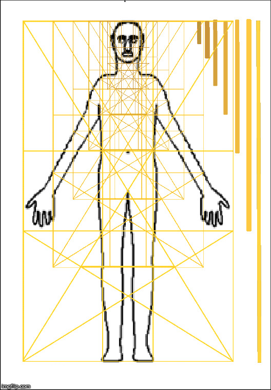 The human body and the Golden Ratio. | image tagged in the golden ratio,the human body | made w/ Imgflip meme maker