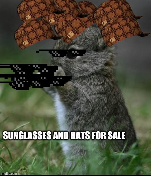 Cute Bunny | SUNGLASSES AND HATS FOR SALE | image tagged in cute bunny | made w/ Imgflip meme maker