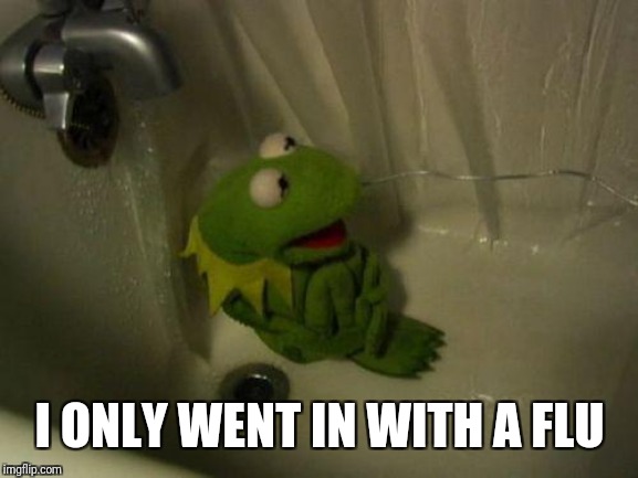 Depressed Kermit | I ONLY WENT IN WITH A FLU | image tagged in depressed kermit | made w/ Imgflip meme maker