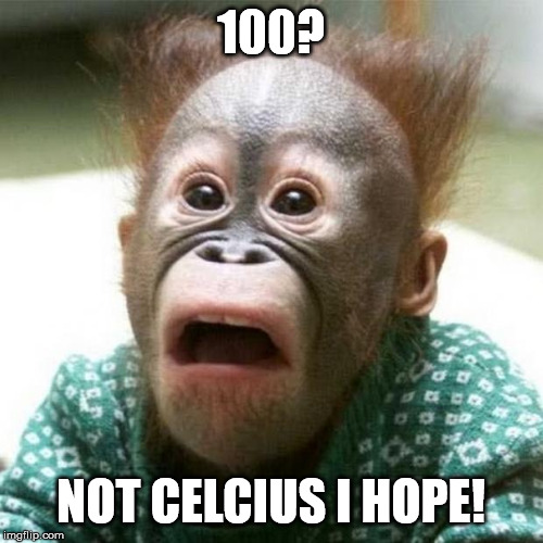 Shocked Monkey | 100? NOT CELCIUS I HOPE! | image tagged in shocked monkey | made w/ Imgflip meme maker