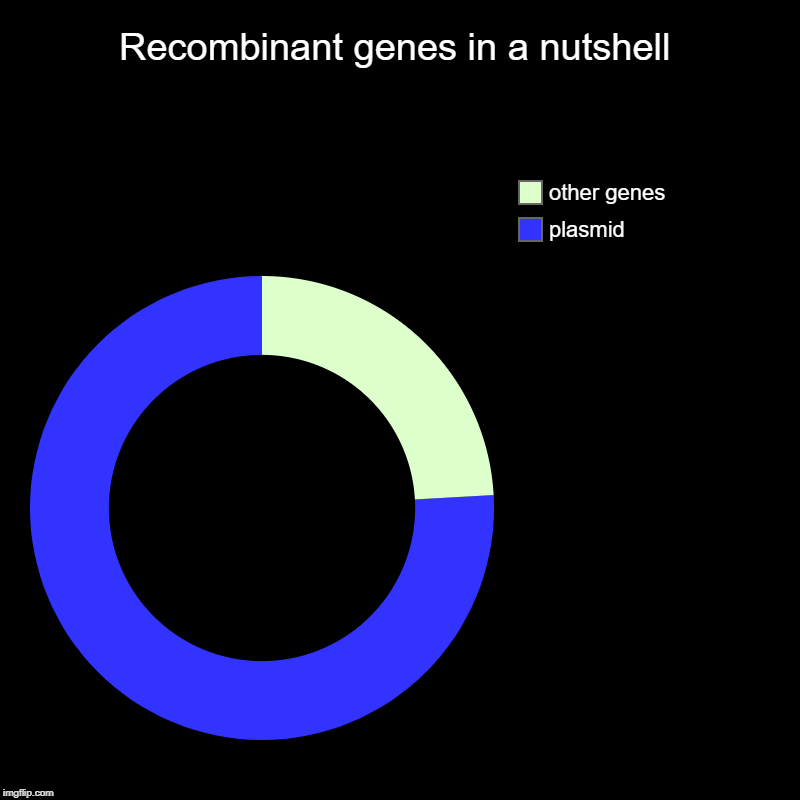 Recombinant DNA in a nutshell | Recombinant genes in a nutshell | plasmid, other genes | image tagged in charts,donut charts,biotechnology,genetics | made w/ Imgflip chart maker