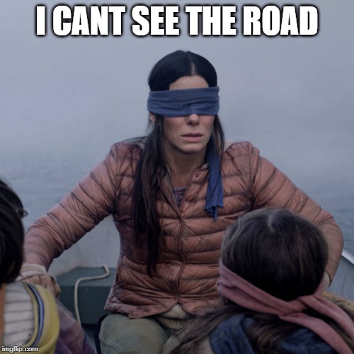 A Driving Hazard | I CANT SEE THE ROAD | image tagged in memes,bird box,funny | made w/ Imgflip meme maker