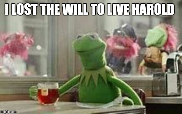 I LOST THE WILL TO LIVE HAROLD | made w/ Imgflip meme maker
