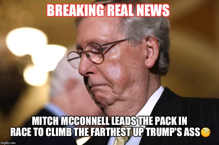 Mitch McConnell | BREAKING REAL NEWS; MITCH MCCONNELL LEADS THE PACK IN RACE TO CLIMB THE FARTHEST UP TRUMP'S ASS🧐 | image tagged in mitch mcconnell,donald trump,obstruction of justice,crooks,russian agents | made w/ Imgflip meme maker