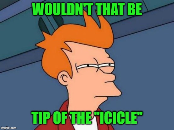 Futurama Fry Meme | WOULDN'T THAT BE TIP OF THE "ICICLE" | image tagged in memes,futurama fry | made w/ Imgflip meme maker